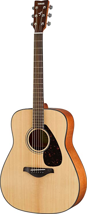 Acoustic guitar