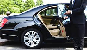 Professional Driver for Hire