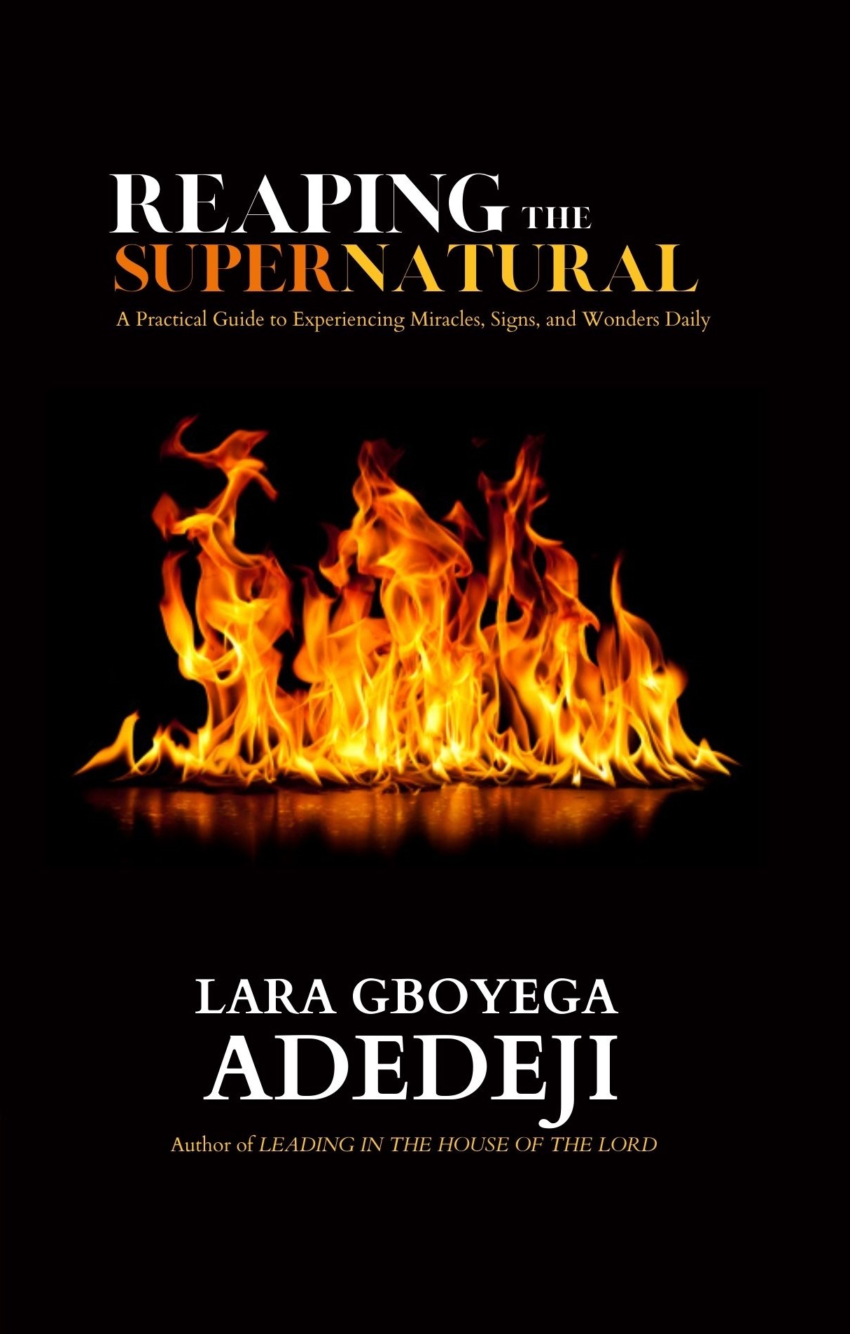 Reaping The Supernatural: A Practical Guide to Experiencing Miracles, Signs, and Wonders Daily (Paperback Book)